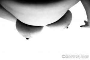 A233746XYC.jpg